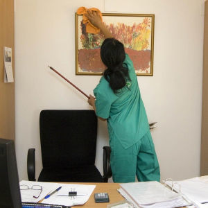 © Alterio Felines auf Pixabay Haushaltsnahe Dienstleistungen